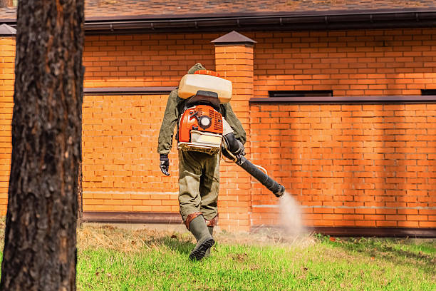 Trusted Cockroach Control service in Shillington, PA - Nex Pest Control
